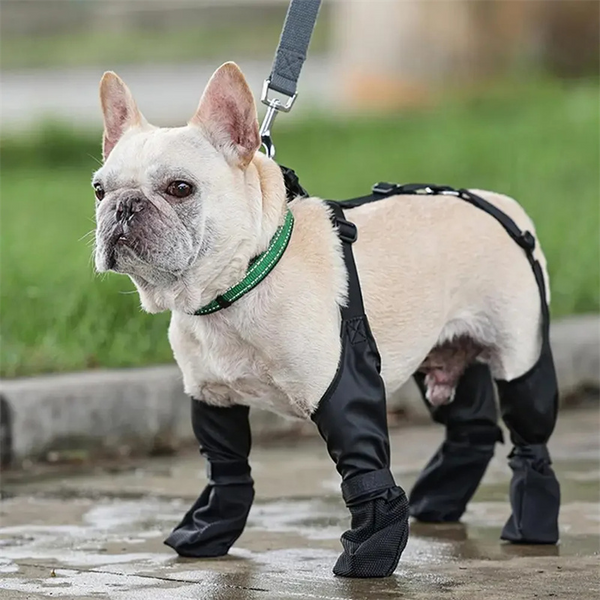 AquaPaws Pet Boots